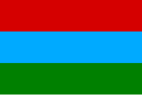Zzzzz 1731372493img3062 — Ultimate Flag option 1334