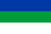 Zzzzz 1731372493img3063 — Ultimate Flag option 1335