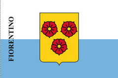 Zzzzz 1731372494img3084 — Ultimate Flag option 1355