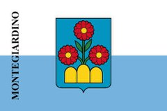 Zzzzz 1731372494img3085 — Ultimate Flag option 1356