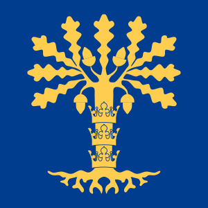 Zzzzz 1731375508img3120 — Ultimate Flag option 1391