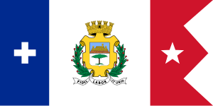 Zzzzz 1731375509img3203 — Ultimate Flag option 1461