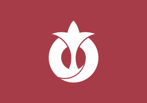 Zzzzz 1731389126img3267 — Ultimate Flag option 1525