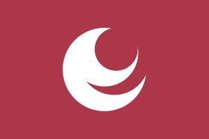 Zzzzz 1731389126img3277 — Ultimate Flag option 1535