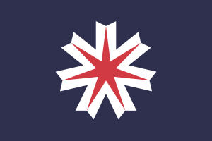 Zzzzz 1731389126img3278 — Ultimate Flag option 1536