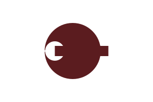 Zzzzz 1731389126img3294 — Ultimate Flag option 1552