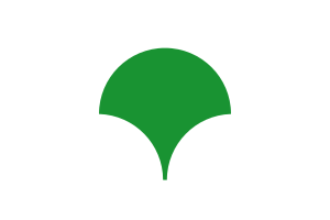 Zzzzz 1731389126img3307 — Ultimate Flag option 1565