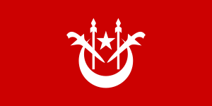 Zzzzz 1731389128img3346 — Ultimate Flag option 1589