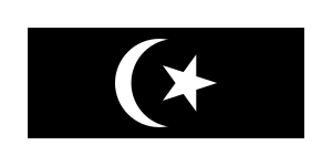Zzzzz 1731389128img3357 — Ultimate Flag option 1600