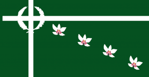Zzzzz 1731389132img3469 — Ultimate Flag option 1708