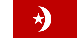 Zzzzz 1731389135img3568 — Ultimate Flag option 1784