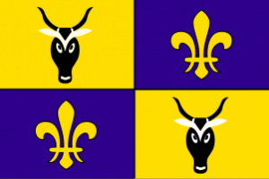 Zzzzz 1731404416img3652 — Ultimate Flag option 1866