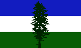 Zzzzz 1731409913img3822 — Ultimate Flag option 1903