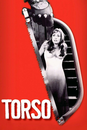 Zzzzz 177249236431014 Torso 0 1000 0 1500 Crop — The Everlasting Horror-Thriller Movies option 130