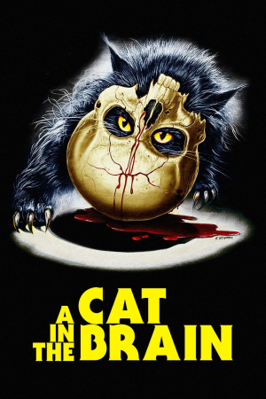 Zzzzz 177255646831677 A Cat In The Brain 0 1000 0 1500 Crop — The Everlasting Horror-Thriller Movies option 502