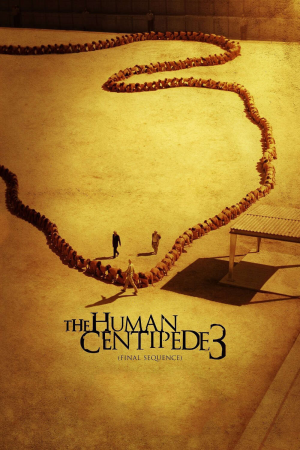 Zzzzz 1774101861sxyl4kefamkzdui2gtrhwctxmax 0 1000 0 1500 Crop — The Everlasting Horror-Thriller Movies option 1166