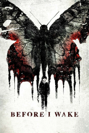 Zzzzz 1774103112228821 Before I Wake 0 1000 0 1500 Crop — The Everlasting Horror-Thriller Movies option 1194