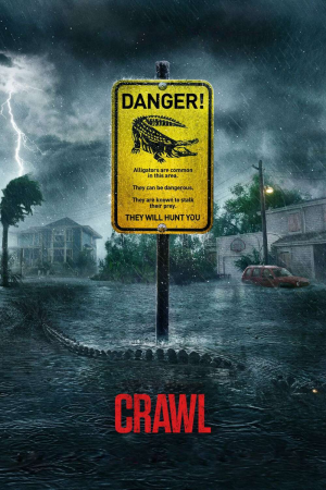 Zzzzz 1774108300441665 Crawl 0 1000 0 1500 Crop — The Everlasting Horror-Thriller Movies option 1303