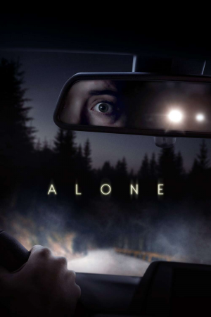 Zzzzz 1774727326439385 Alone 0 1000 0 1500 Crop — The Everlasting Horror-Thriller Movies option 1322