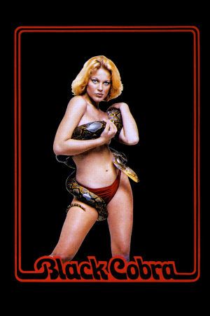 Zzzzz 1775485924di9qxawp7rs9xqfsn0jjibja2wu 0 1000 0 1500 Crop — The Everlasting Horror-Thriller Movies option 175