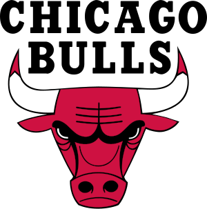 E Bulls — NBA Teams option 3