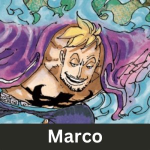 Zzzzz 1731387363marco — One Piece Power Scaling Tier List option 44