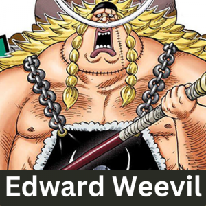 Zzzzz 1731459708weevil — One Piece Power Scaling Tier List option 60
