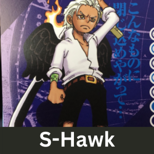 Zzzzz 1731470507s Hawk — One Piece Power Scaling Tier List option 117