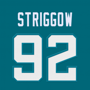 Zzzzz 176250063492striggow — 2025-26 NFL Edge Rushers (Jersey Edition) option 91