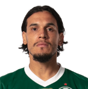 Captura De Tela 2025 06 09 182858 — Elenco do Palmeiras option 4
