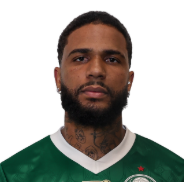 Captura De Tela 2025 06 09 182903 — Elenco do Palmeiras option 5