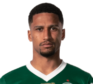 Captura De Tela 2025 06 09 182912 — Elenco do Palmeiras option 6