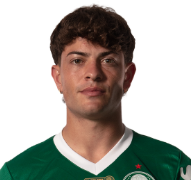 Captura De Tela 2025 06 09 182923 — Elenco do Palmeiras option 8