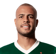 Captura De Tela 2025 06 09 182936 — Elenco do Palmeiras option 10