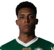 Captura De Tela 2025 06 09 182949 — Elenco do Palmeiras option 12