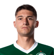 Captura De Tela 2025 06 09 183007 — Elenco do Palmeiras option 15
