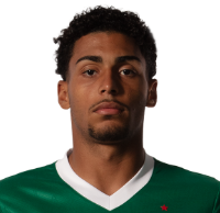 Captura De Tela 2025 06 09 183116 — Elenco do Palmeiras option 25