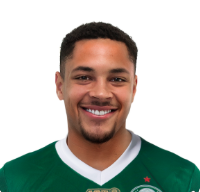 Captura De Tela 2025 06 09 183128 — Elenco do Palmeiras option 27