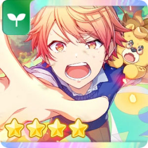 Zzzzz 1779395812kasapure3 — Every single Project Sekai untrained card (yes, all of them) option 678