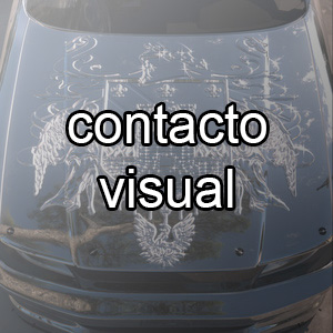 Contacto — Saramalacara TEMAS option 12