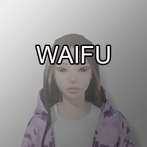 Waifu — Saramalacara TEMAS option 46