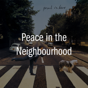 Zzzzz 177805031693 Pitn — ALL of Paul McCartney (+ Wings + Fireman) songs (1969-2026) option 599