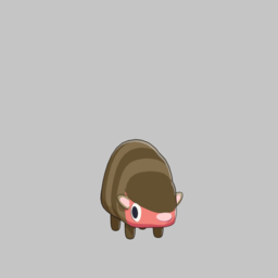 Armadillo — Quirky Animals option 4
