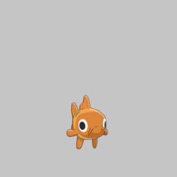 Carp — Quirky Animals option 18