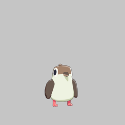 Kookaburra — Quirky Animals option 69