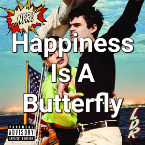 Lana Del Rey: Norman Fucking Rockwell — option 13