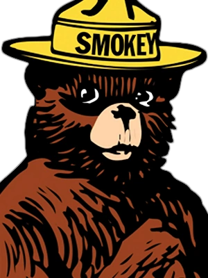 Zzzzz 1768705183portraitsmokeybear — Death Battle (Seasons 1-Kickstarter) Character Tier List option 255