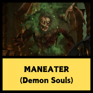 Demon Souls 9 — Every SoulsBorne Boss + Sekiro + Lies of P option 135