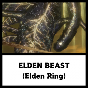 Elden Ring 39 — Every SoulsBorne Boss + Sekiro + Lies of P option 169