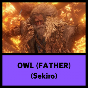Sekiro 12 — Every SoulsBorne Boss + Sekiro + Lies of P option 189